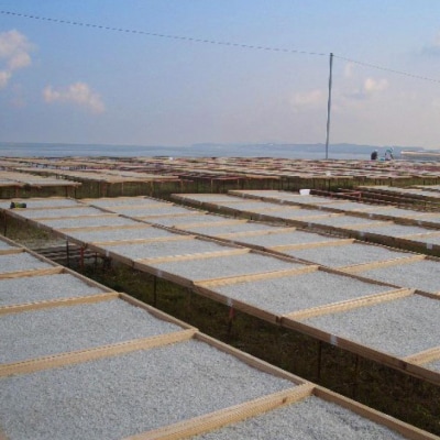 【ギフト用】豊洲市場御用達!淡路島のちりめんじゃこ　3箱セット