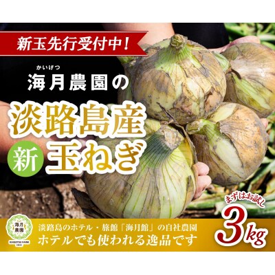 【先行受付】海月館 自社農場栽培!淡路島産 新玉ねぎ 3kg