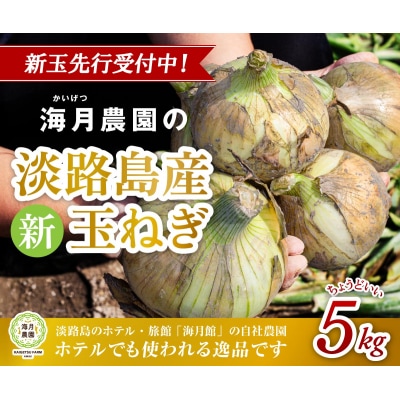 �y��s��t�z�C���� ���Д_��͔|!�W�H���Y �V�ʂ˂� 5kg