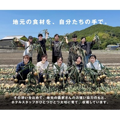 【先行受付】海月館 自社農場栽培!淡路島産 新玉ねぎ 10kg