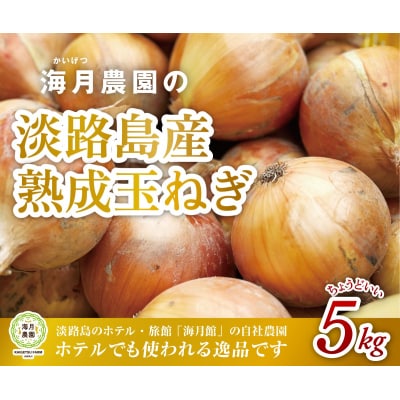 海月館 自社農場栽培!淡路島産 玉ねぎ 5kg