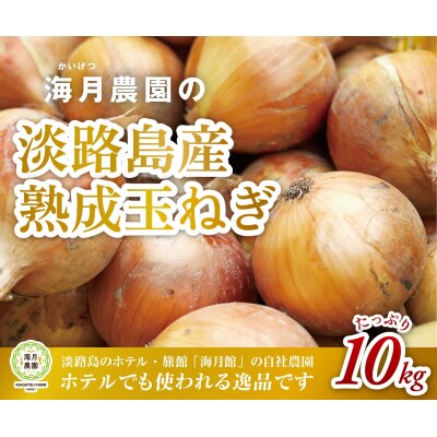 海月館 自社農場栽培!淡路島産 玉ねぎ 10kg
