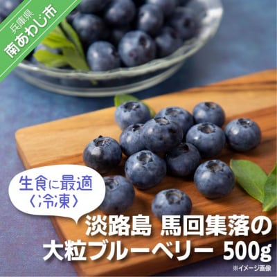 【生食に最適/冷凍】淡路島　馬回集落の大粒ブルーベリー 500g