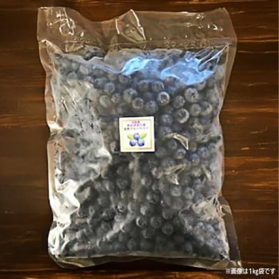 【生食に最適/冷凍】淡路島　馬回集落の大粒ブルーベリー 500g