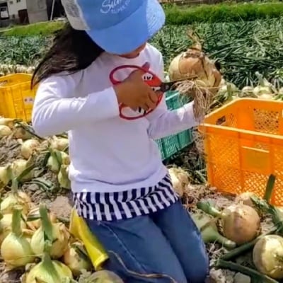 【新玉予約!】中山さんちから直送 淡路島たまねぎ 5㎏　◆R8.3月下旬～発送