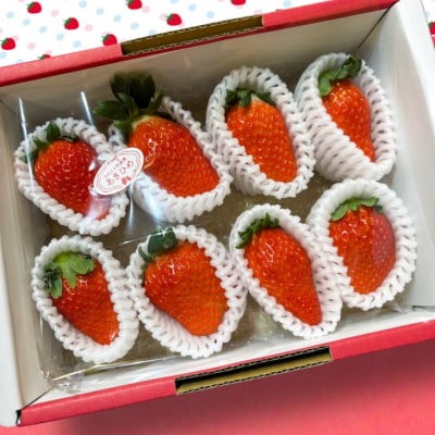 しあわせ島いちごデラックスハーフ(DXh)