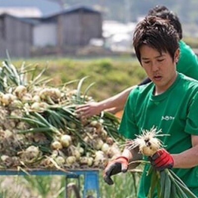 【うずのくに南あわじ】淡路島新玉ねぎ「蜜玉」5kg