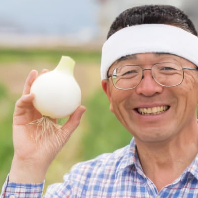 てっちゃんの淡路島新たまねぎ10kg