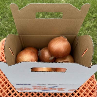 【淡路島玉ねぎ・サイズ混合】三世代で紡ぐ味淡路島の玉ねぎ 3Kg◆配送6月上旬～8月中旬