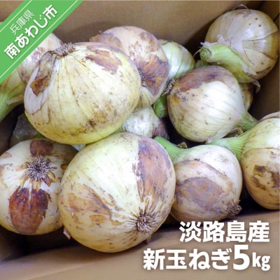 淡路島産　新玉ねぎ5kg