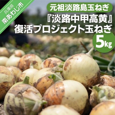 元祖淡路島玉ねぎ『淡路中甲高黄』復活プロジェクト　玉ねぎ5kg　◆配送6月～
