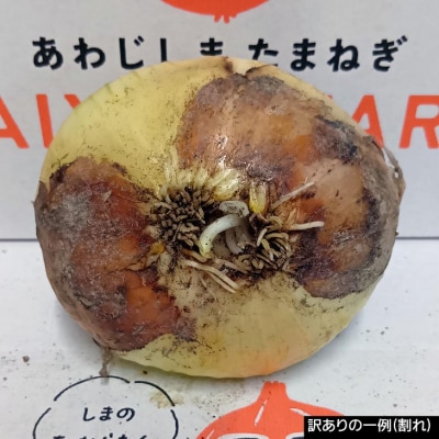 訳あり品　淡路島産新玉ねぎ 5kg　◆配送2月～5月