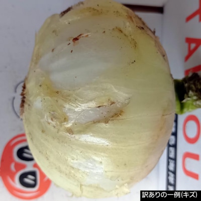 【完熟玉ねぎ予約】訳あり品　淡路島産完熟玉ねぎ 5kg　◆配送6月～翌年1月