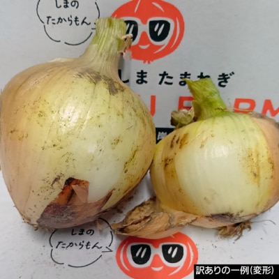 【完熟玉ねぎ予約】訳あり品　淡路島産完熟玉ねぎ 5kg　◆配送6月～翌年1月
