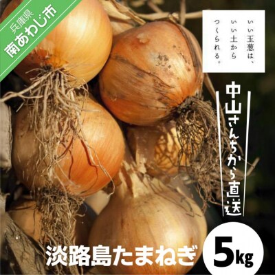 【完熟玉ねぎ予約】中山さんちから直送　淡路島たまねぎ5㎏　◆R8.6月下旬～発送