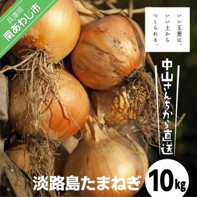 【完熟玉ねぎ予約】中山さんちから直送　淡路島たまねぎ10㎏　◆R8.6月下旬～発送