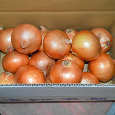 【完熟玉ねぎ予約】淡路島産たまねぎ　5kg 甘さに自信!!ほんまもん!!　◆R8.5月末～発送.