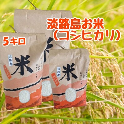淡路島「コシヒカリ」5キロ〈令和7年度産〉