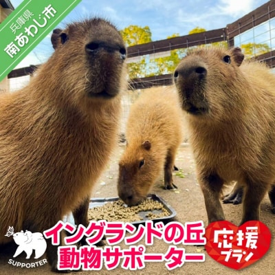【イングランドの丘】動物サポーター《応援プラン》