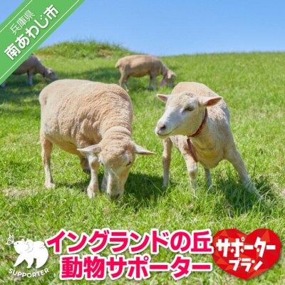 【イングランドの丘】動物サポーター《サポータープラン》
