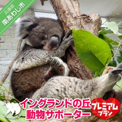 【イングランドの丘】動物サポーター《プレミアムプラン》