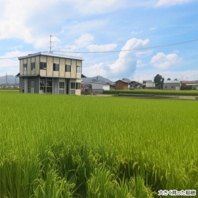 淡路島産【新米】にこまる 10kg〈精米〉