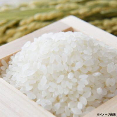淡路島産【新米】にこまる 10kg〈精米〉