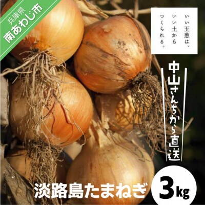 中山さんちから直送　淡路島たまねぎ3㎏