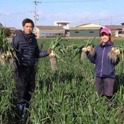 中山さんちから直送　淡路島たまねぎ3㎏