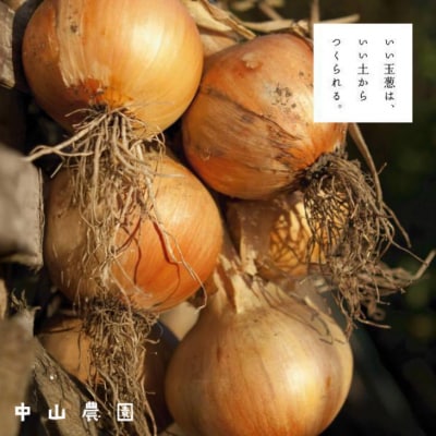 中山さんちから直送　淡路島たまねぎ3㎏