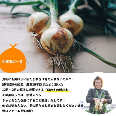【野口ファーム】幻の冬の新たまねぎ 2kg　◆配送12月～