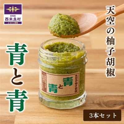 【ふるさと納税】R7新物登場!! 天空の柚子胡椒(ゆずこしょう)「青と青」35g入り×3本セット 　