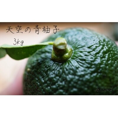 天空の青柚子 お礼品詳細 ふるさと納税なら さとふる