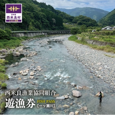 [ふるさと納税]西米良漁業協同組合　年券　全魚種　鮎の友釣り　鮎かけ　鮎釣り　渓流釣り　西米良　宮崎
