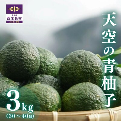 【ふるさと納税】天空の青柚子 九州 宮崎 西米良村 柚子 ゆず