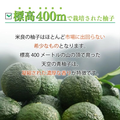 【ふるさと納税】天空の青柚子 九州 宮崎 西米良村 柚子 ゆず