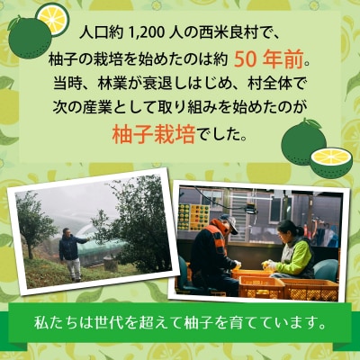 【ふるさと納税】天空の青柚子 九州 宮崎 西米良村 柚子 ゆず