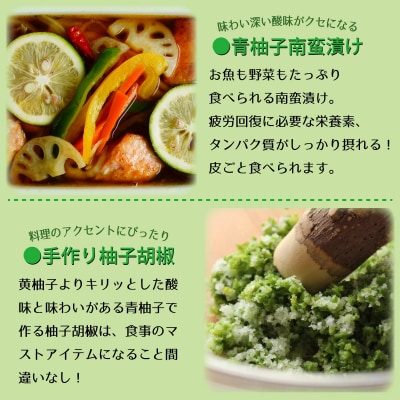 【ふるさと納税】天空の青柚子 九州 宮崎 西米良村 柚子 ゆず