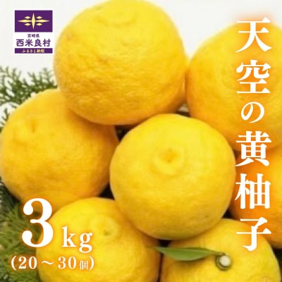 【ふるさと納税】天空の黄柚子 九州 宮崎 西米良村 柚子 ゆず