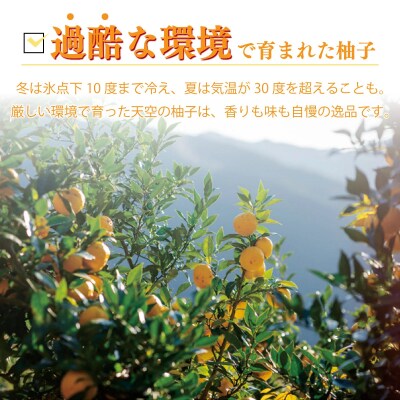 【ふるさと納税】天空の黄柚子 九州 宮崎 西米良村 柚子 ゆず