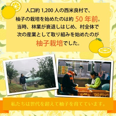 【ふるさと納税】天空の黄柚子 九州 宮崎 西米良村 柚子 ゆず