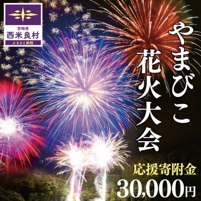 【ふるさと納税】第49回やまびこ花火大会応援寄付金 西米良村応援寄付金 30,000円