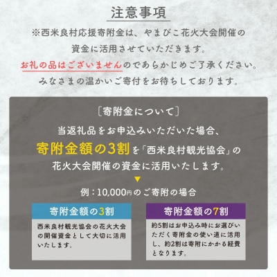 【ふるさと納税】第49回やまびこ花火大会応援寄付金 西米良村応援寄付金 100,000円
