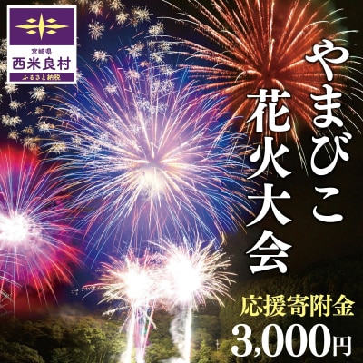 【ふるさと納税】第50回やまびこ花火大会応援寄付金 西米良村応援寄付金 3,000円