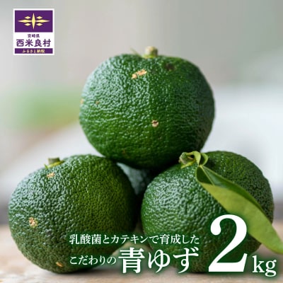 【ふるさと納税】乳酸菌とカテキンで育成したこだわりの青ゆず2kg※8月下旬より発送開始