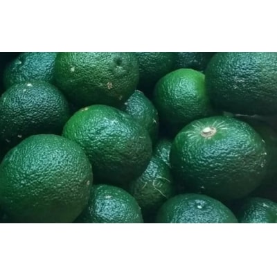 【ふるさと納税】乳酸菌とカテキンで育成したこだわりの青ゆず2kg※8月下旬より発送開始