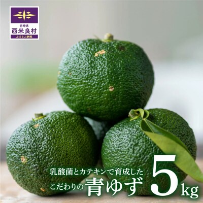 【ふるさと納税】乳酸菌とカテキンで育成したこだわりの青ゆず5kg※8月下旬より発送開始