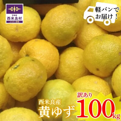【ワケあり】黄柚子 100kg! (軽バンでお届け)※11月より発送開始