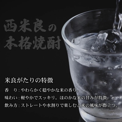 [ふるさと納税]本格焼酎　米良がたり　2本セット　米焼酎