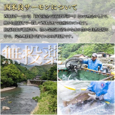 【ふるさと納税】西米良サーモン フィレ2枚とアラ1パック魚 海鮮 ご当地サーモン 鮭 刺身  西米良
